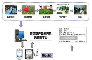 茶叶流通追溯系统 塑造品牌价值的数字密码